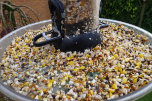 A potential source of infection for our bird visitors