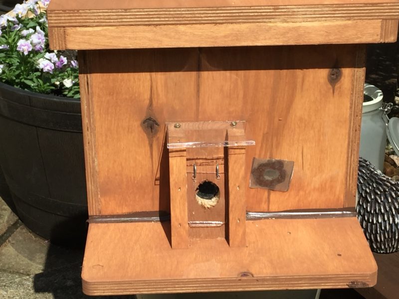 Award Winning Bumblebee Nest Box Nurturing Nature