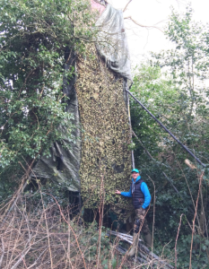 Dave at another or his purpose built sparrowhawk observation towers