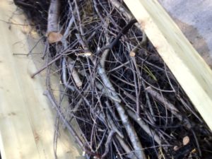 The basis of Hugelkultur, wood
