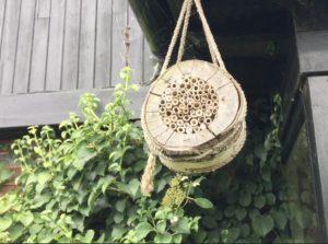 The swinging bee hotel! video