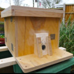 Bumblebee-Nest-Box | nurturing nature