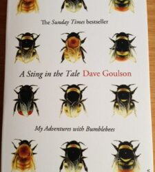 Prof. Dave Goulson’s bumblebee interview and A Sting in the Tale -video