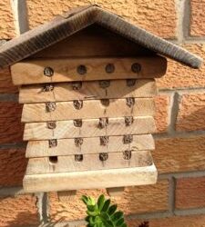 Is your bee hotel a nursery for pests and disease BTO GBW talk 18 Mar 2017