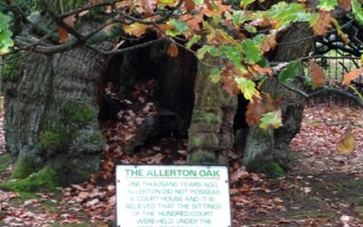 WEA students visit the Allerton Oak, Liverpool
