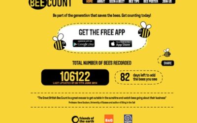 Great British Bee Count citizen science phone app
