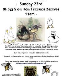 Birds ‘n’ Bees Presentation Risley Moss Nature Reserve