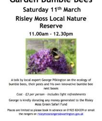 Garden Bumblebee talk Risley Moss 11-12.30pm March 11th  2017