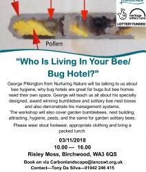 Who is living in your wild bee/bug hotel workshop?