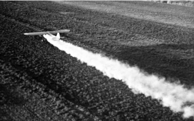 Ban neonicotinoids now – to avert another silent spring