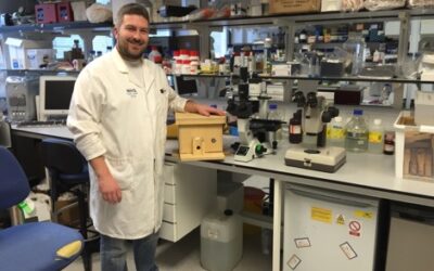 Nurturing Nature bumblebee nest boxes used at a scientific research lab