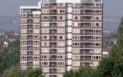 Vote for Tale of two cities Liverpool wildflower corridor to Manchester