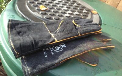 Bumblebee (B.pratorum) nest removal, relocation, diary & video