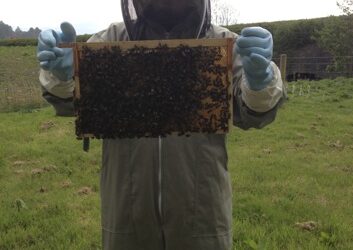 A different kind of buzz? My visit to the National Beekeeping Centre Wales-video