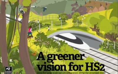 Wildlife to benefit with a greener vision for HS2?