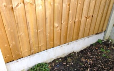 Hedgehogs and garden fences- a possible solution?