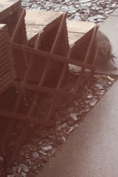 Hedgehog Highways Help Hedgehogs! Really!