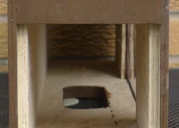 Hedgehog feeding station ‘feed and watch’ by  Nurturing Nature-video