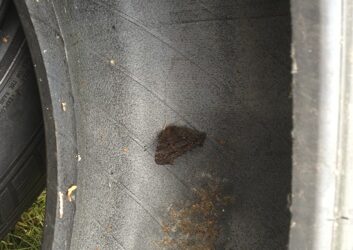 Peacock butterfly disturbed during hibernation making anti predatory noise-video