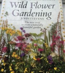 National Trust Wild Flower Gardening Book by John Stevens. My inspiration