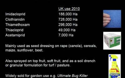 Neonicotinoids out of sight not out of mind (or soil, compost, seed dressings or bulbs)