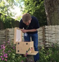 Nurturing Nature bumblebee and solitary bee boxes used by Kew Gardens