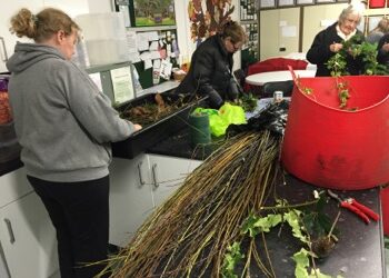 Friends of Victoria Park Stretford making natural Christmas wreaths
