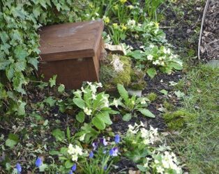 Bumblebee queens need the right flowers to feed themselves and their young video