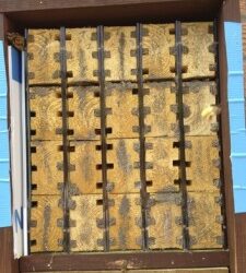 Woodpecker damage to Nurturing Nature Orchard solitary bee nest box