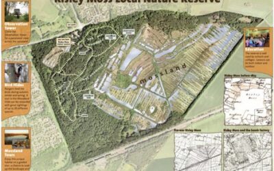 WEA students on visit to Risley Moss