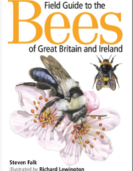 Field Guide to the Bees of Great Britain and Ireland by Steven Falk