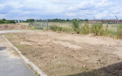 Kids, Liverpool Firemen and fruit tree planting ! Part 2