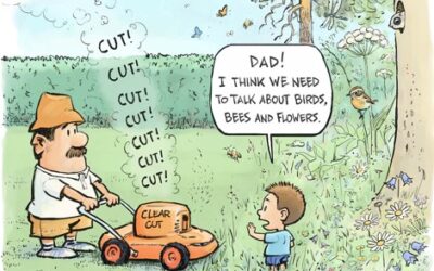 Dad I think we need to talk about the birds, bees and flowers!