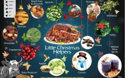 Little Christmas helpers infogram